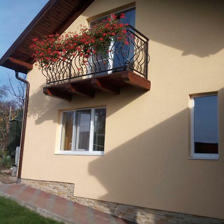 Casa Matei Casa De Vacanta 투르다 외부 사진